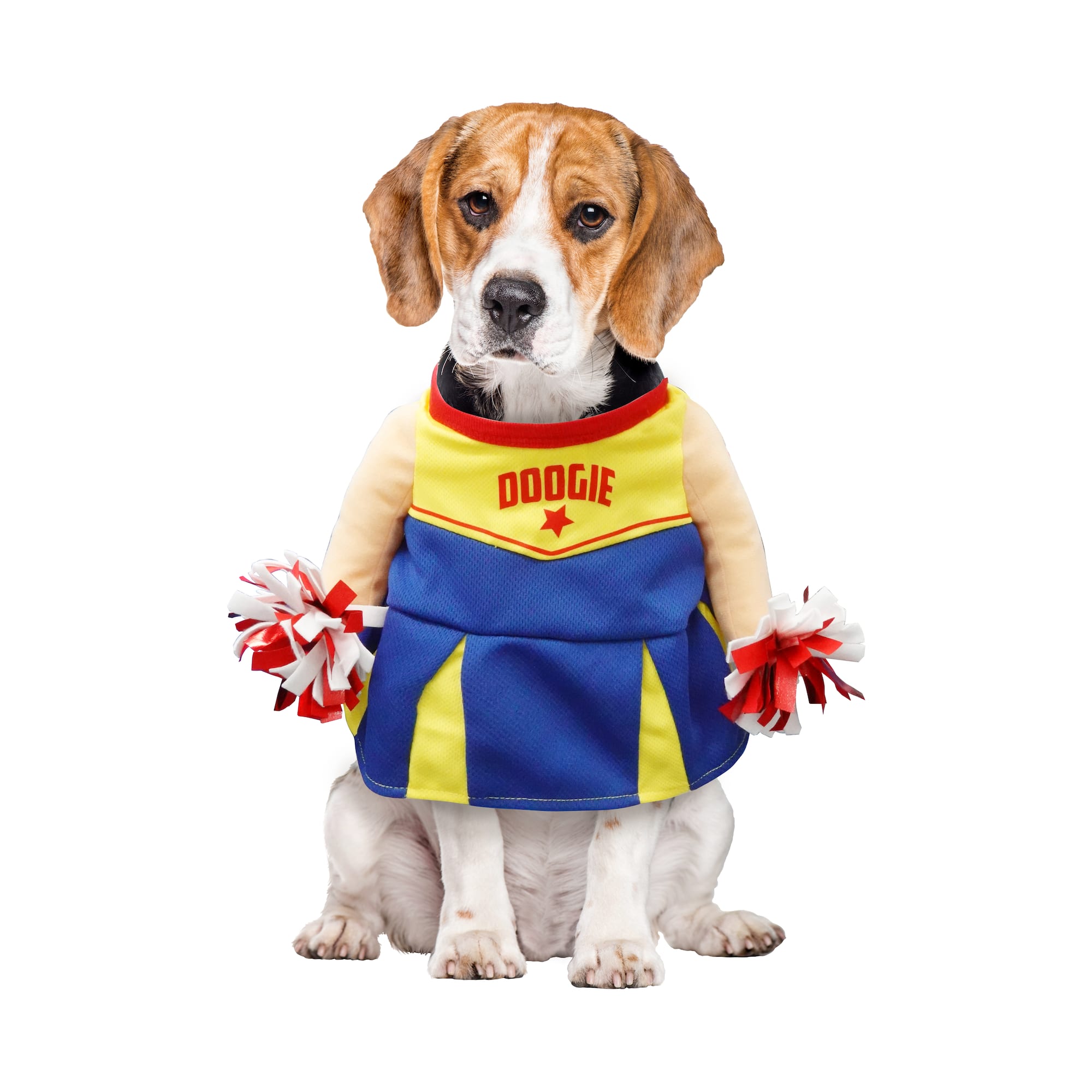 Best Furry Friends Cheerleader Pet Costume